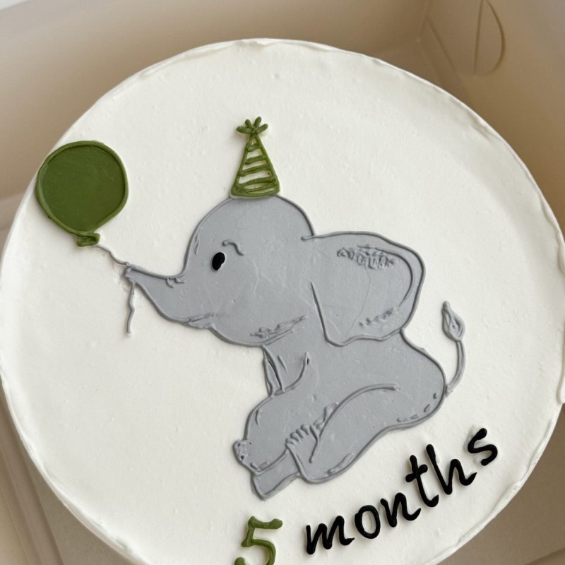 Uşaq bento tortu «Fil 5 months»