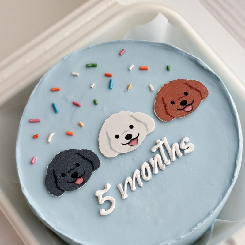 Uşaq bento tortu «Küçüklər 5 months»