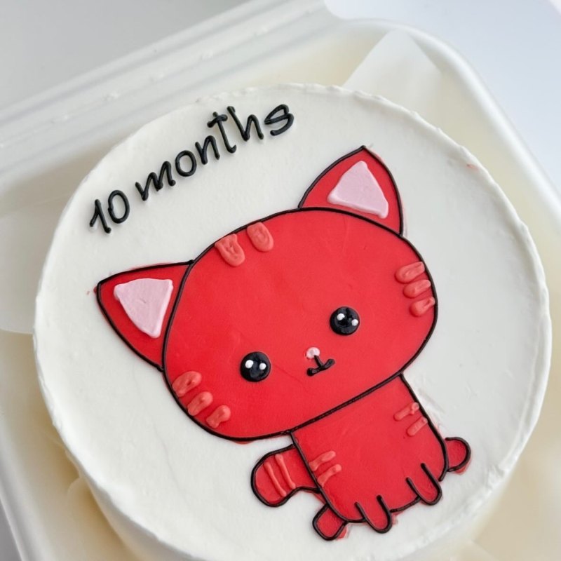 Kids bento cake «Pişik 10 months»