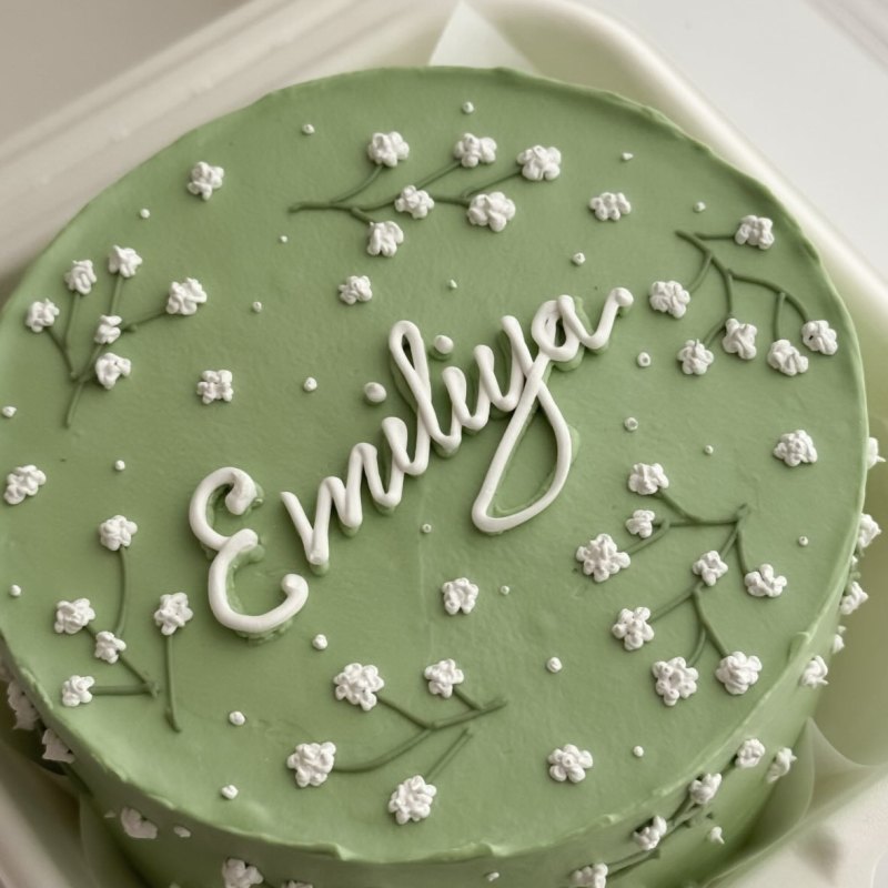 Kids bento cake «Yaşıl Emiliya»