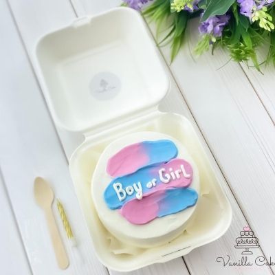 Торт Boy or Girl «Klassik»