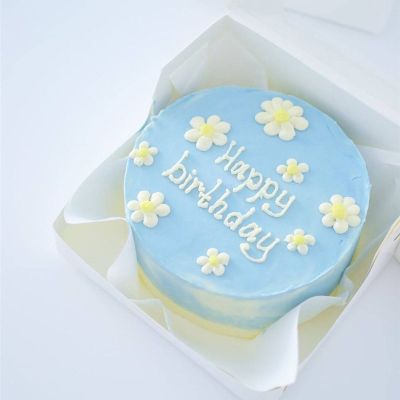 Bento tort «HBD blue»